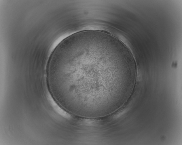 X0000112350803200908201438