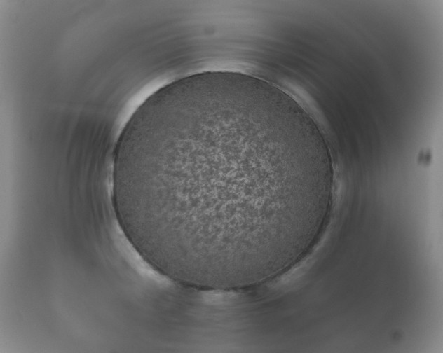 X0000112350804200908201438