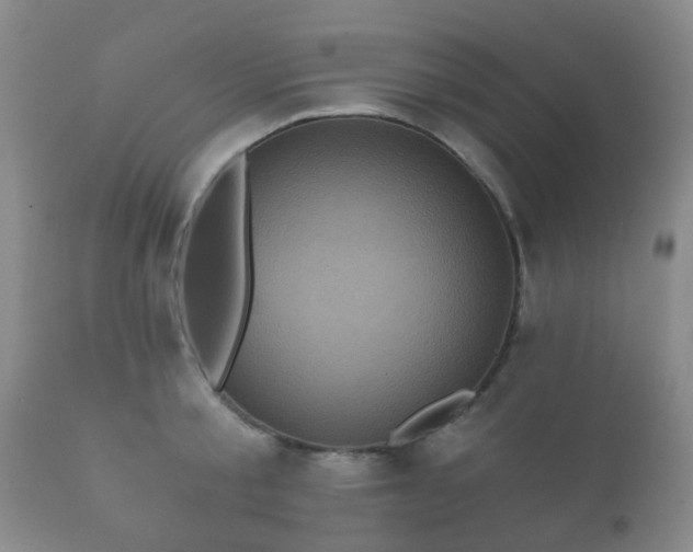 X0000112350805200908201438