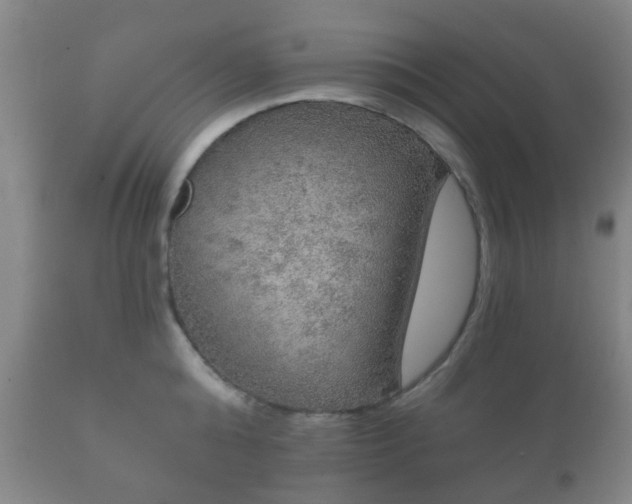 X0000112350808200908201438
