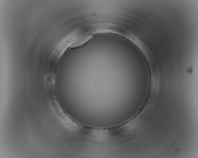 X0000112350809200908201438