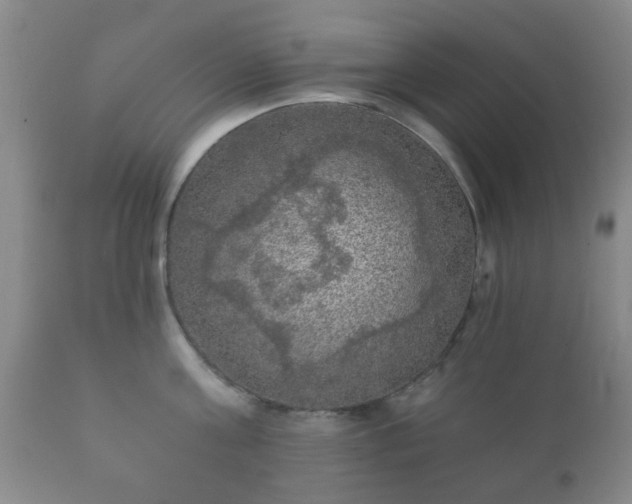 X0000112350811200908201438