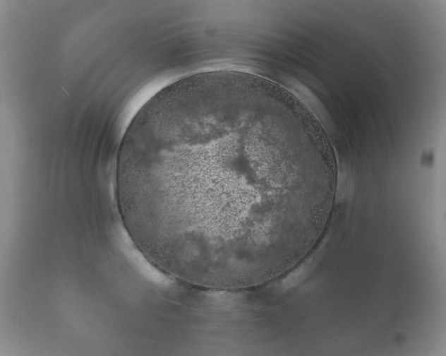 X0000112350812200908201438