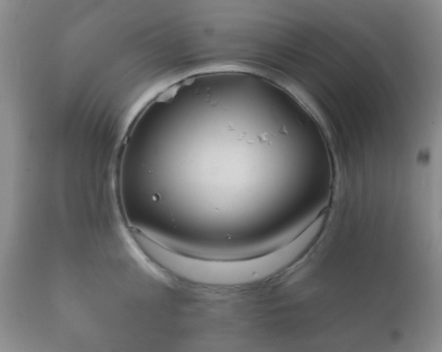 X0000112350813200908201438