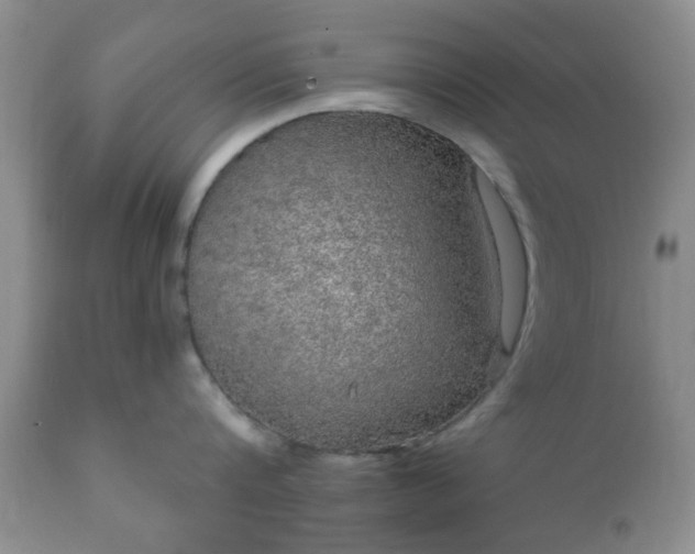 X0000112350816200908201438
