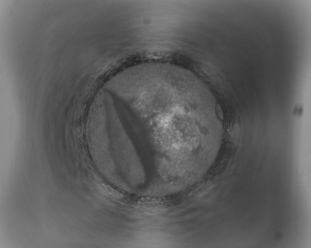 X0000112350817200908201437