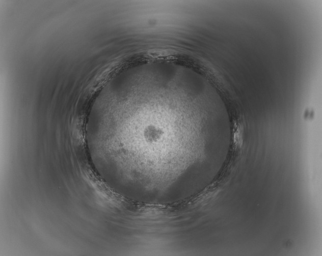 X0000112350819200908201437