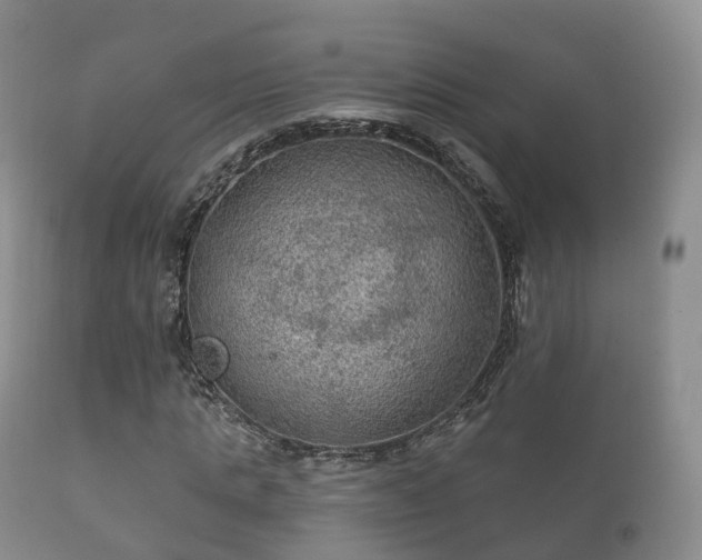 X0000112350821200908201437