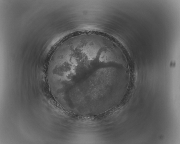X0000112350823200908201437