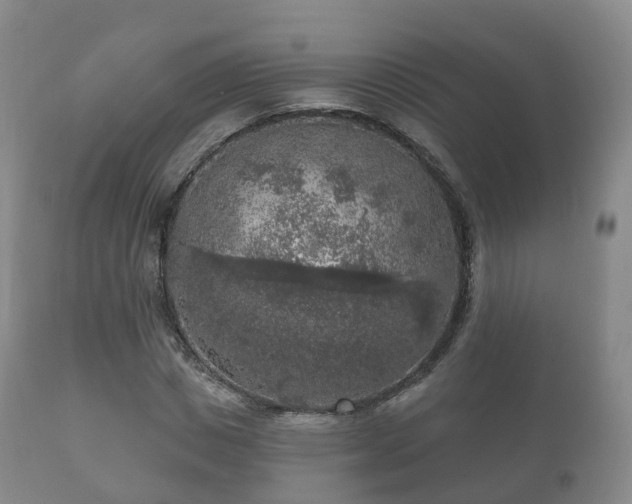 X0000112350825200908201437