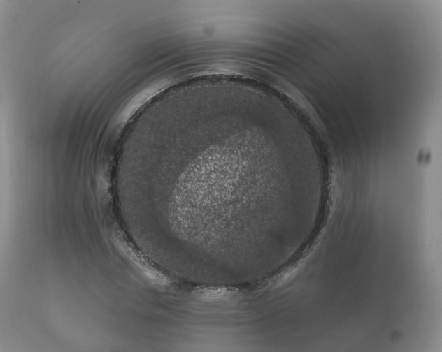 X0000112350826200908201437