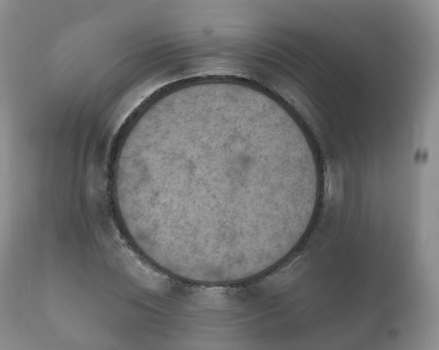 X0000112350828200908201437