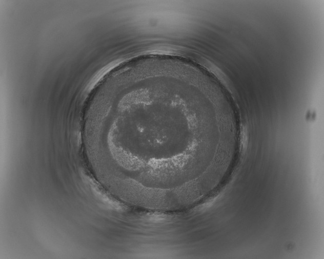 X0000112350829200908201437