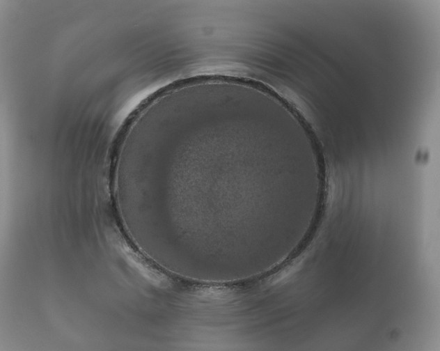 X0000112350830200908201437