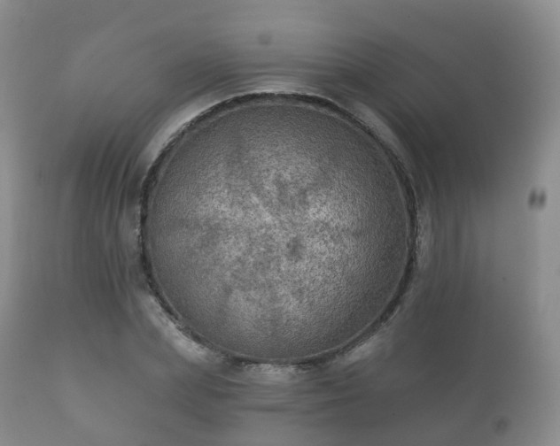 X0000112350831200908201437