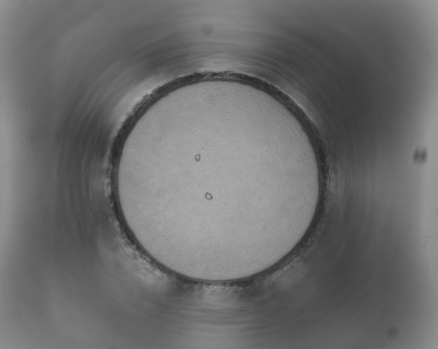 X0000112350832200908201437