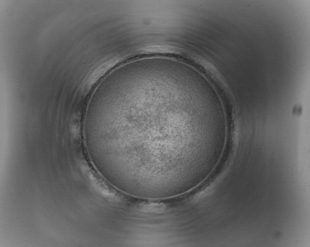 X0000112350833200908201437