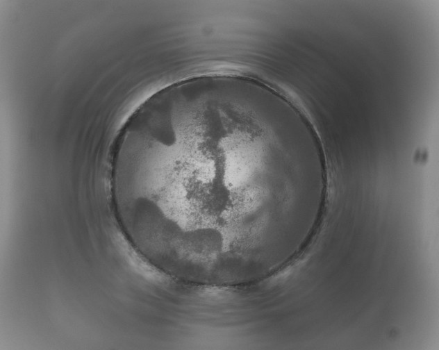 X0000112350835200908201438