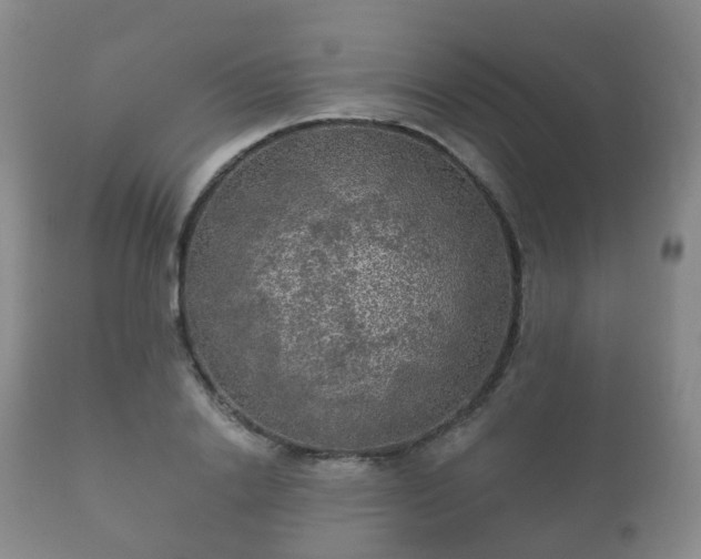 X0000112350838200908201438
