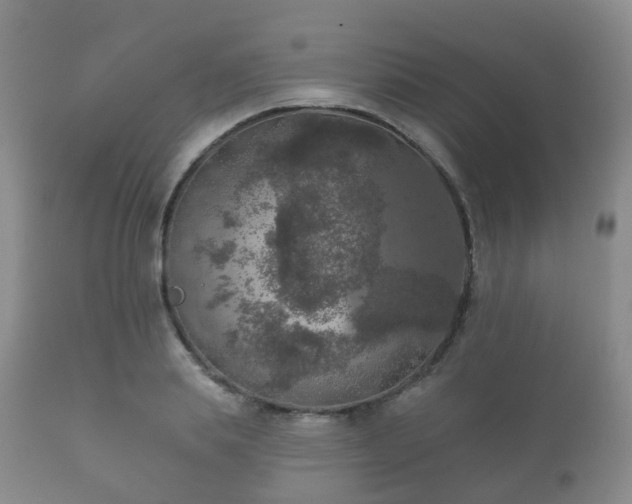 X0000112350839200908201438
