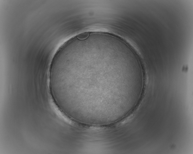 X0000112350840200908201438