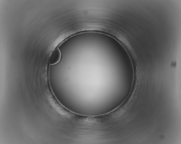 X0000112350842200908201438