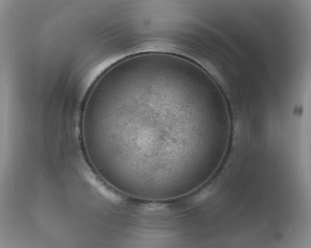 X0000112350846200908201438
