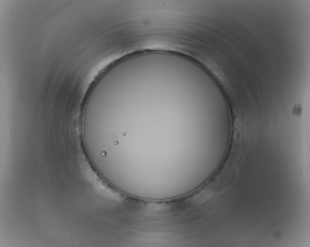 X0000112350848200908201438