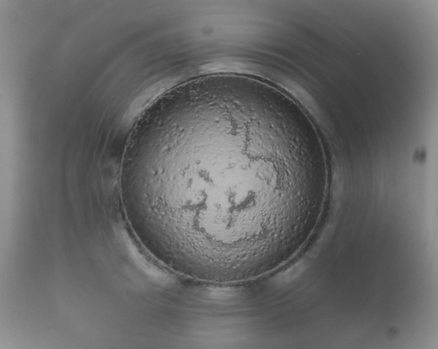 X0000112350849200908201438