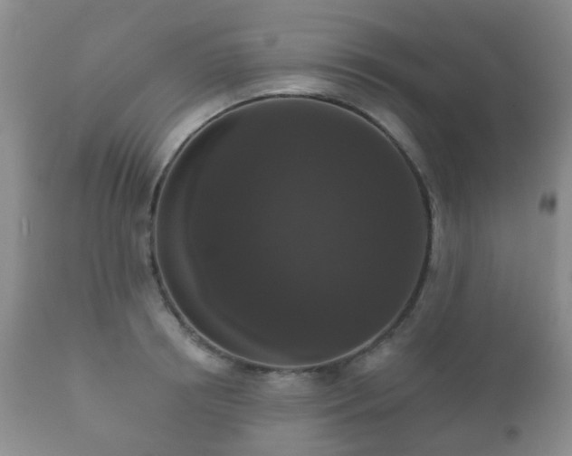 X0000112350850200908201438