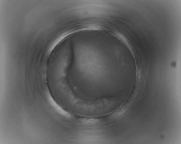 X0000112350851200908201438