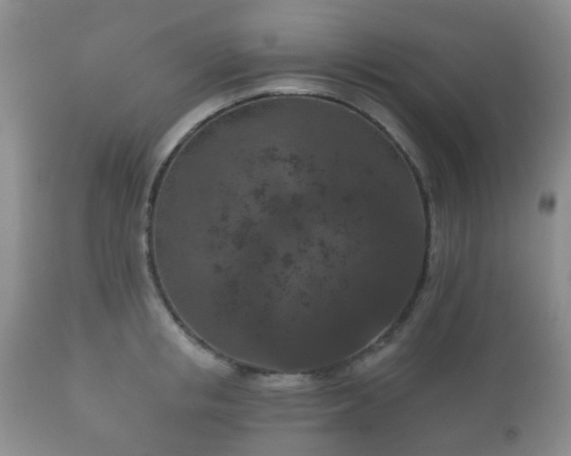 X0000112350853200908201438