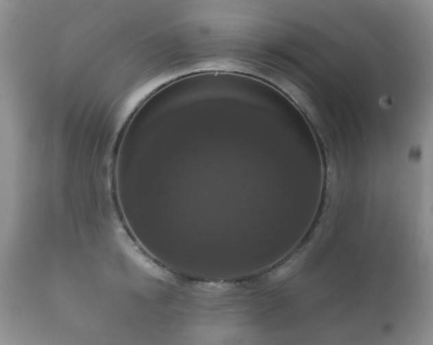 X0000112350854200908201438