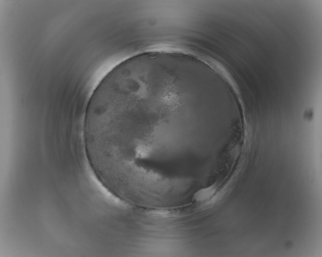 X0000112350855200908201438