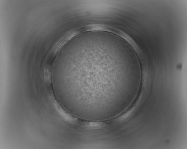 X0000112350857200908201438