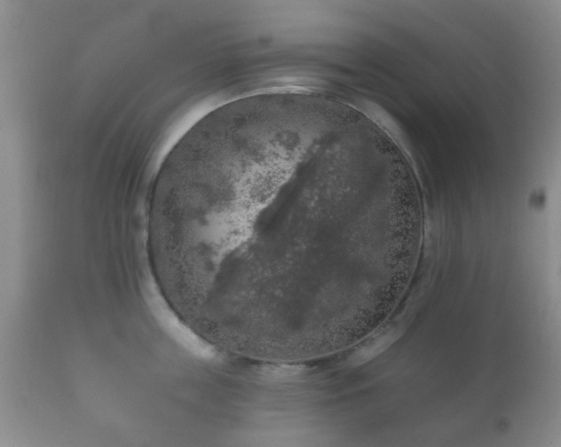 X0000112350859200908201438