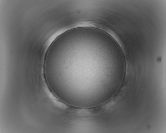 X0000112350861200908201438