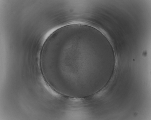 X0000112350862200908201438