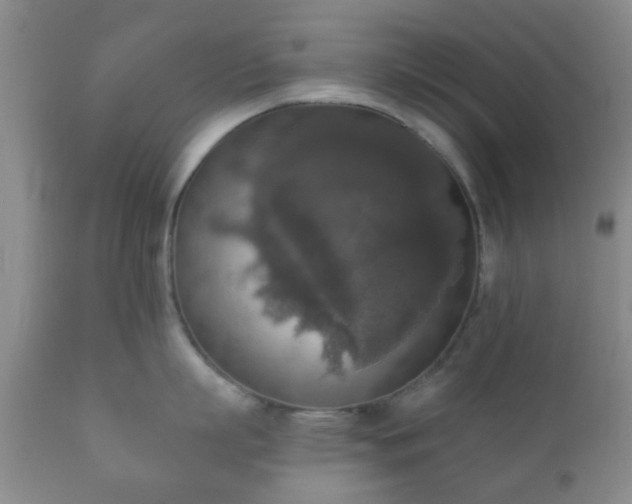 X0000112350863200908201438
