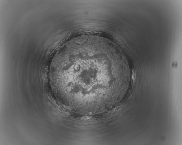 X0000112350867200908201437