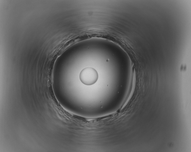 X0000112350868200908201437
