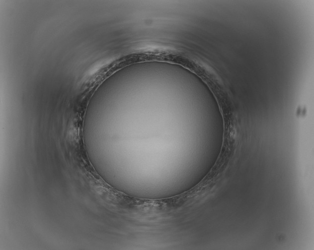 X0000112350869200908201437