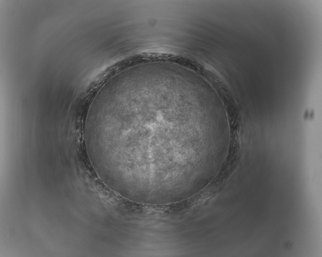 X0000112350870200908201437