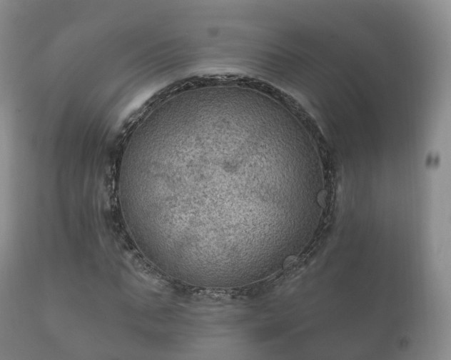 X0000112350871200908201437