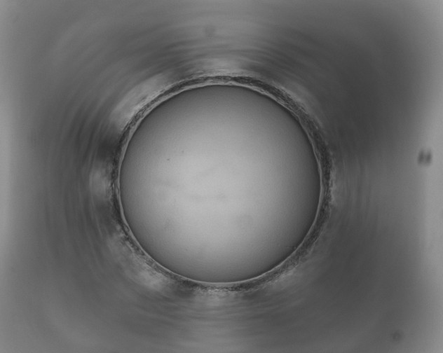 X0000112350873200908201437
