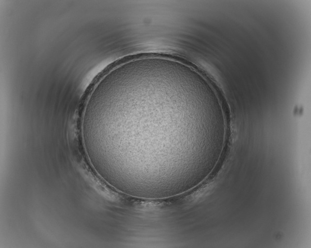 X0000112350875200908201437
