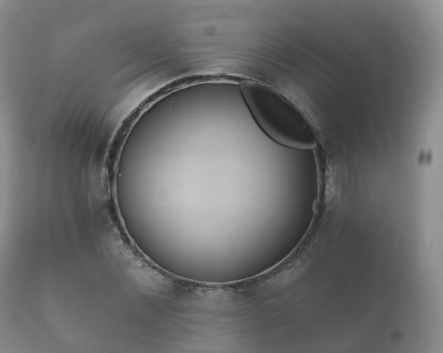 X0000112350876200908201437