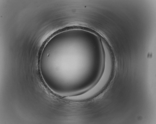 X0000112350877200908201437