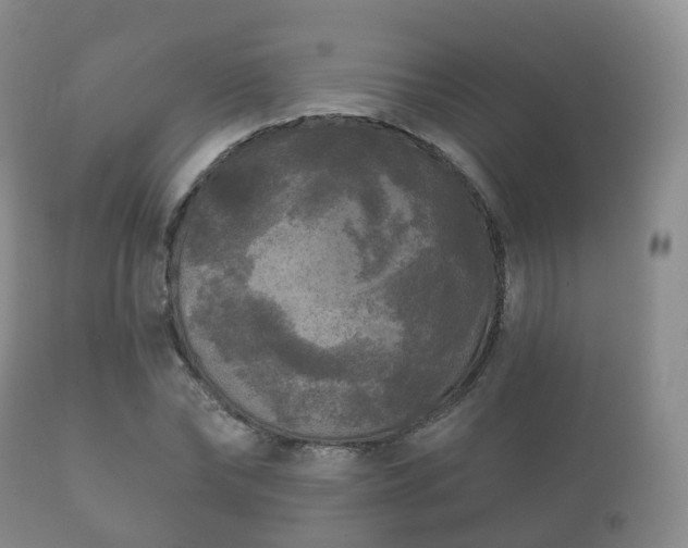 X0000112350878200908201437
