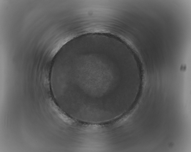 X0000112350881200908201437